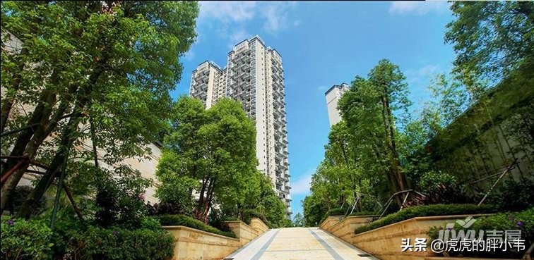 近期深圳一次售罄楼盘,深圳4个楼盘开盘就全部售罄