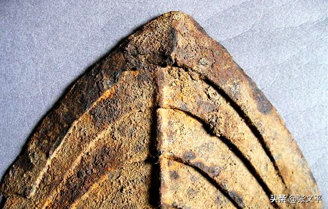 煤炭趣话大全,什么是煤炭焦炭木炭