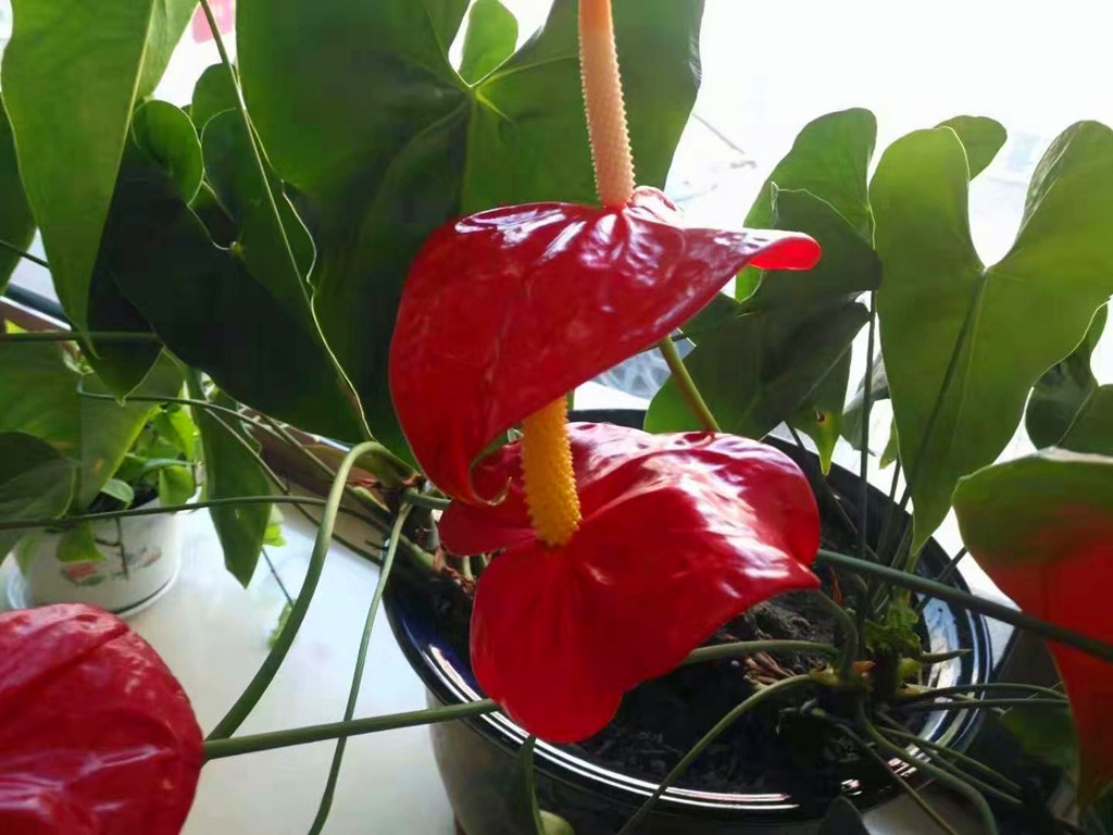 做好5件事快速改变人生,做好这5件事