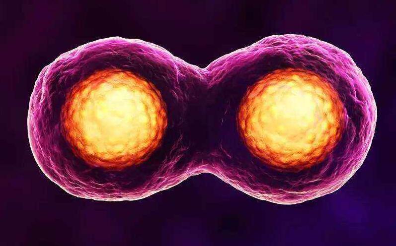 关于试管婴儿，流传最久的6大谣言，至今还有人会上当