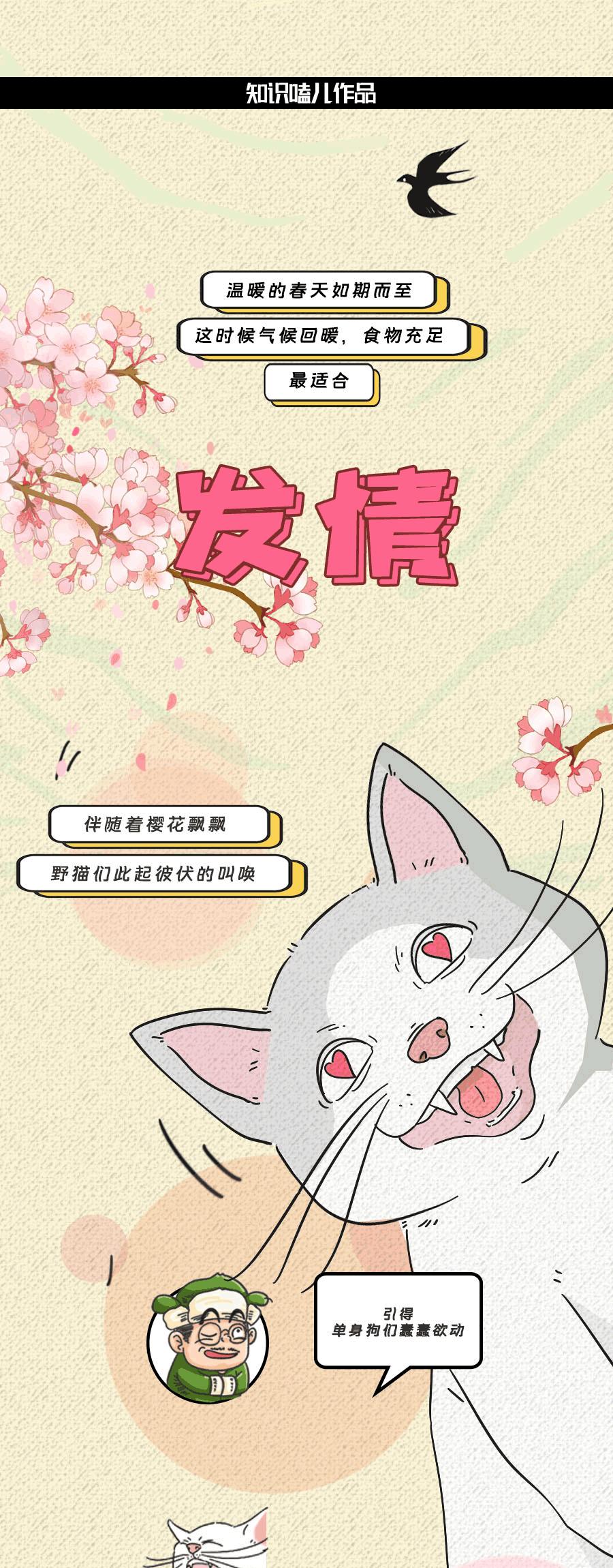 那些羞羞的事：动物是如何啪啪啪的？