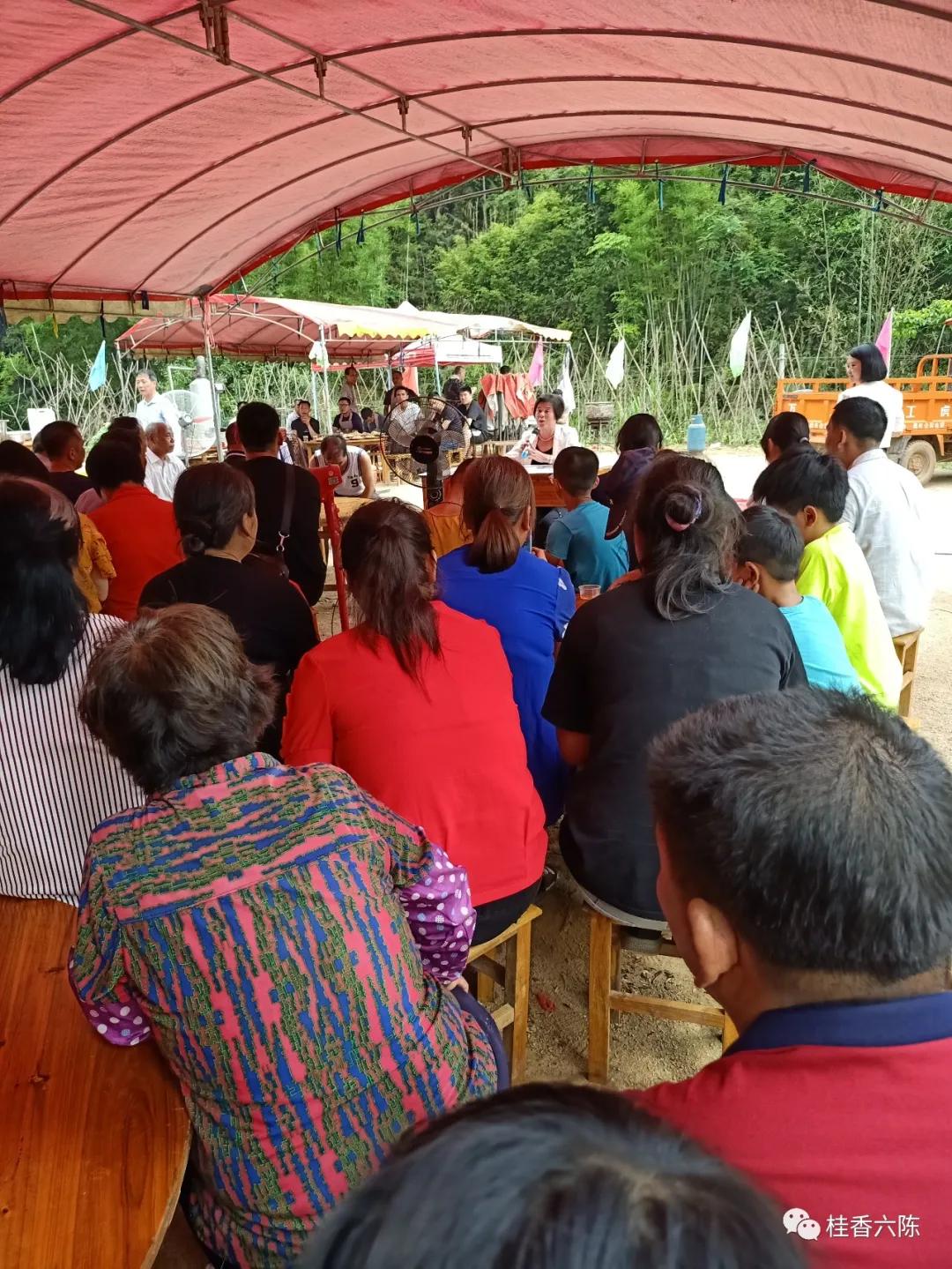 彩旗飘舞，鞭炮阵阵，六陈镇外嫁女集体回娘家，助力乡村风貌提升