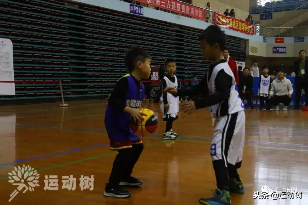 中国篮球名宿走进学校,中国篮球名宿26分