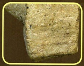 「鉴变」2494普陀耐最受欢迎的大模第二无耳线模