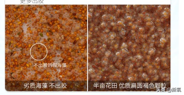 柳岩代言二裂酵母面膜,柳岩推荐的v脸面膜