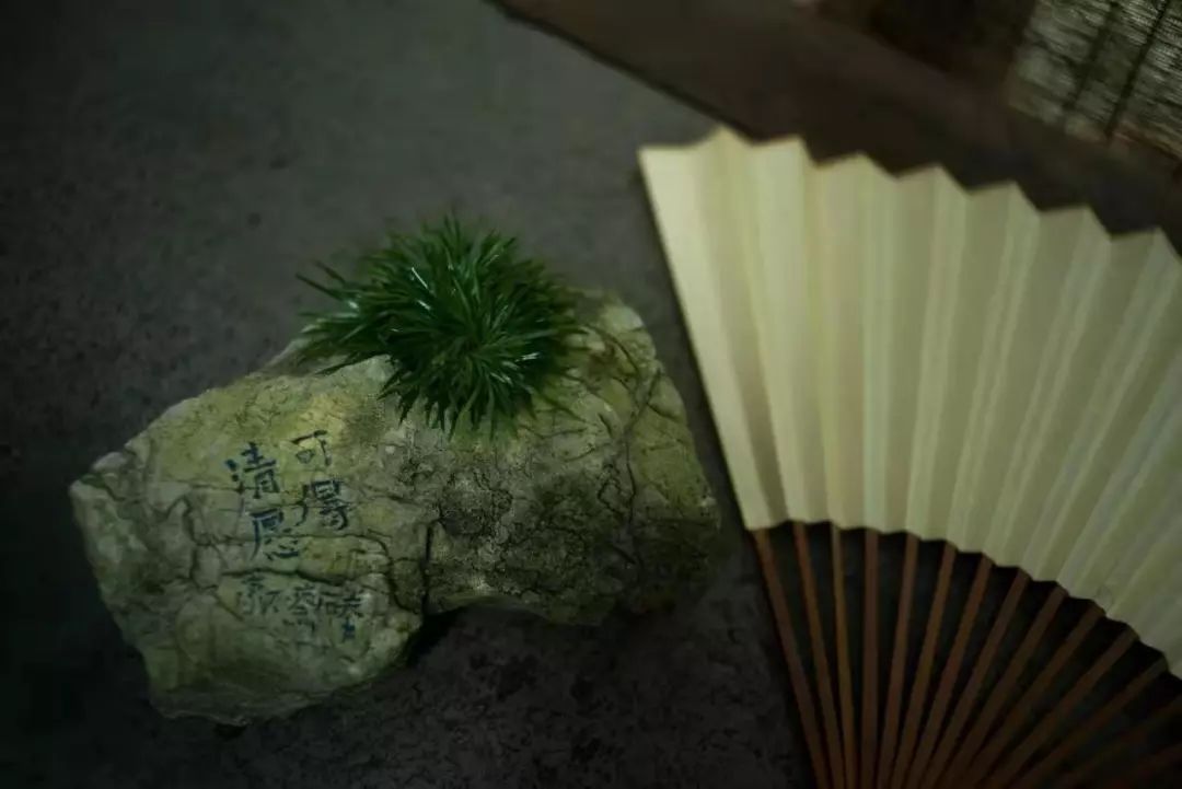 人活一世都有遇到困难的时候,人活着就要有独一无二的性格