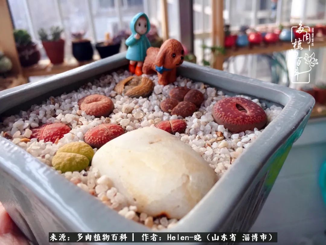 人到中年温暖如初,人到中年岁月静好