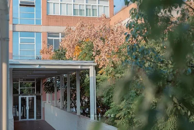 江苏南京外国语学校,南京外国语学校高二五班