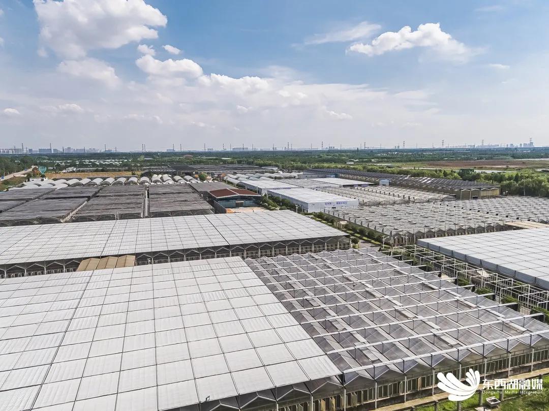 智慧水果是指哪种水果,什么是智慧果园