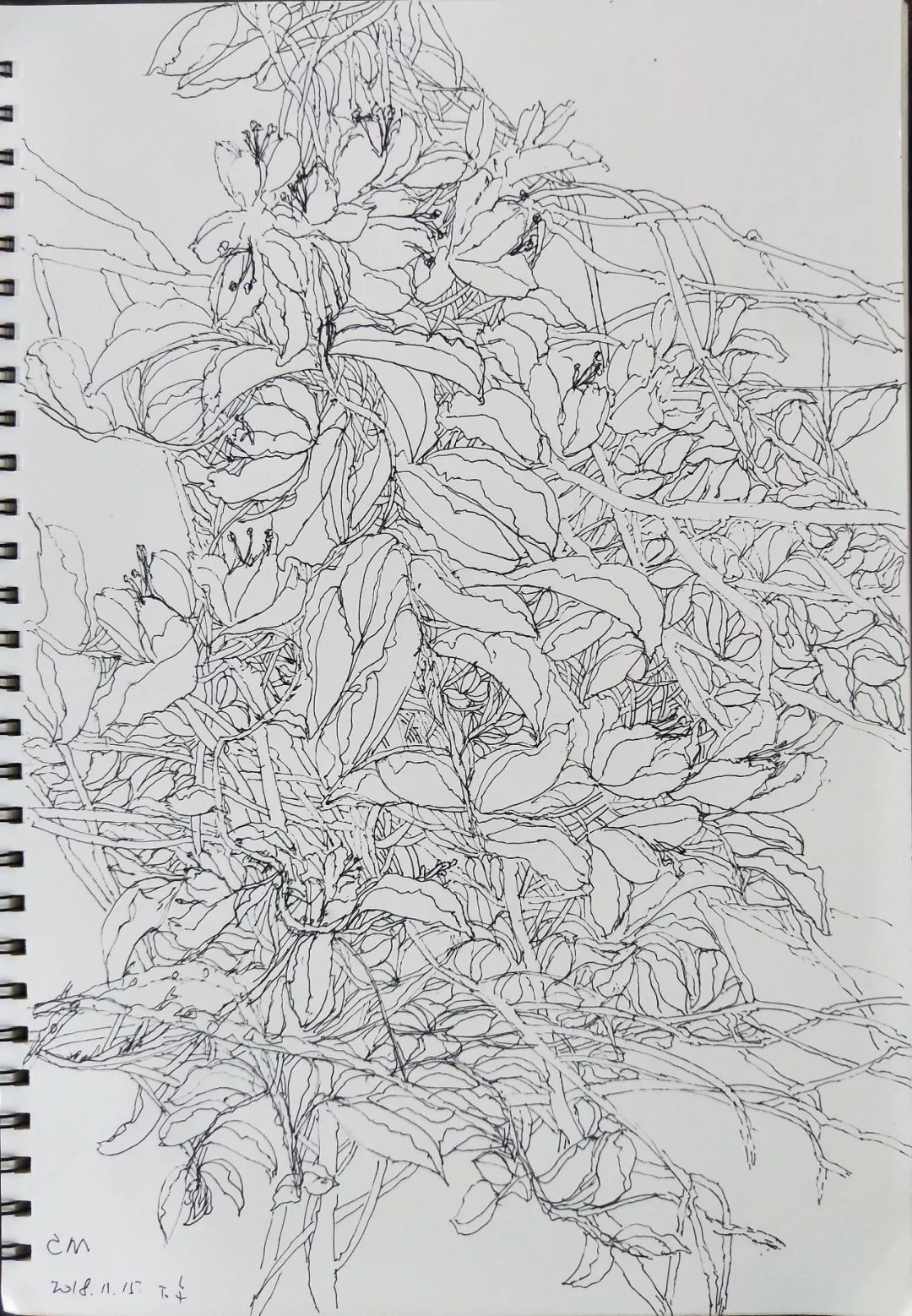 袁金奎老师国画作品欣赏,袁金奎写意花鸟画作品