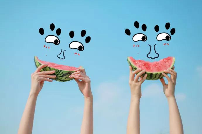 广告新媒体营销,新媒体新营销与广告新理念的关系