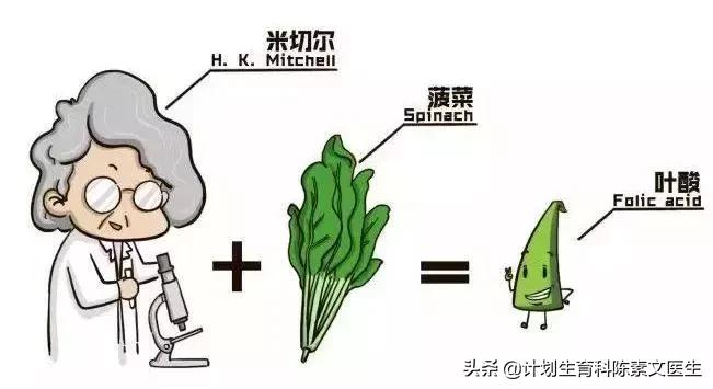 孕期补叶酸对于宝宝有一惊人好处,准妈妈在孕期如何补充叶酸才靠谱