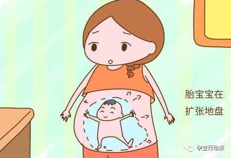 孕期周刊，第十三周