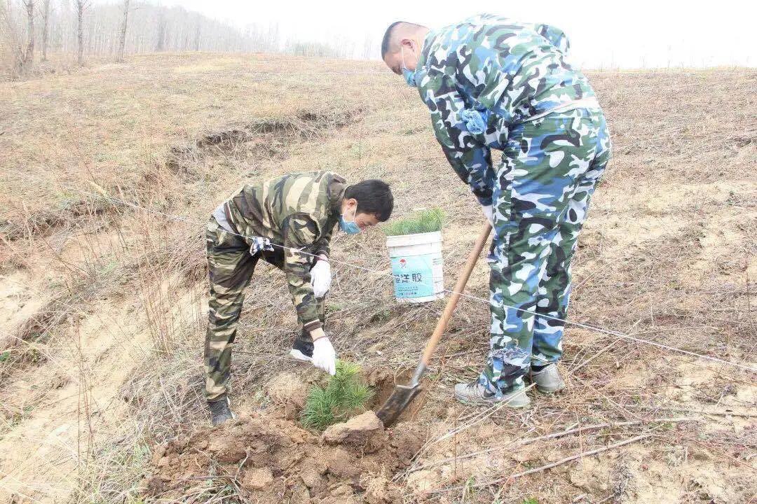 黑龙江亚布力镇公务员报考比例,2023年国家公务员招录报名人数