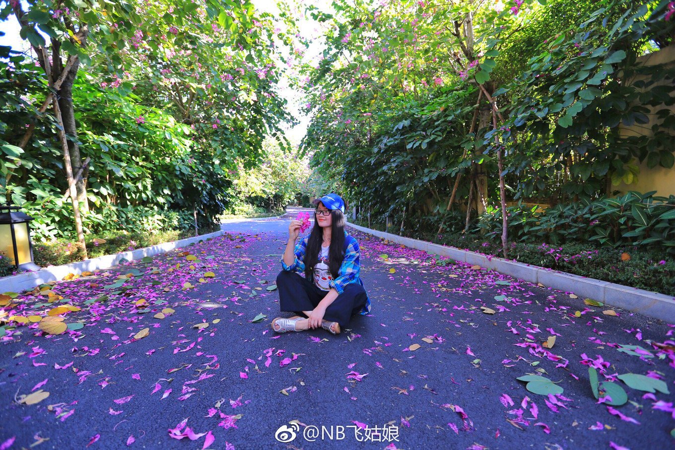 天寒地冻也有一缕阳光,寒冷的冬天寻找温暖的地方