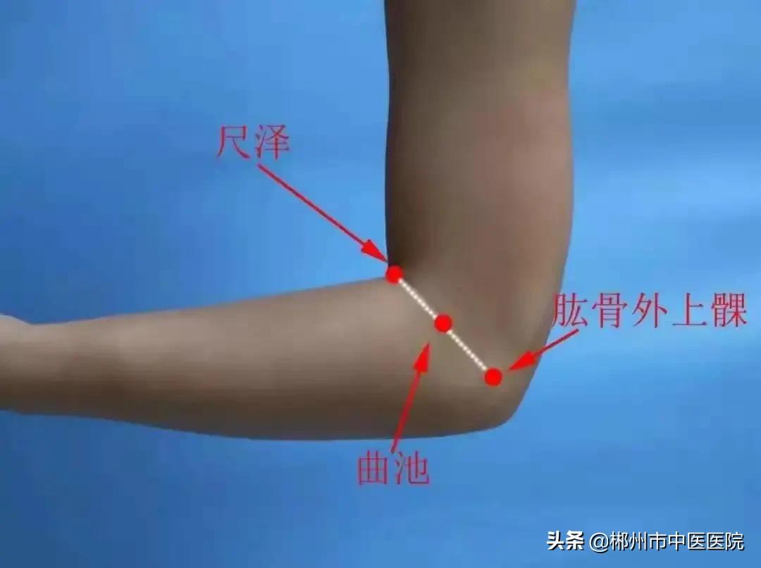 减肥不必运动怎么减,减肥不用饿肚子的秘诀