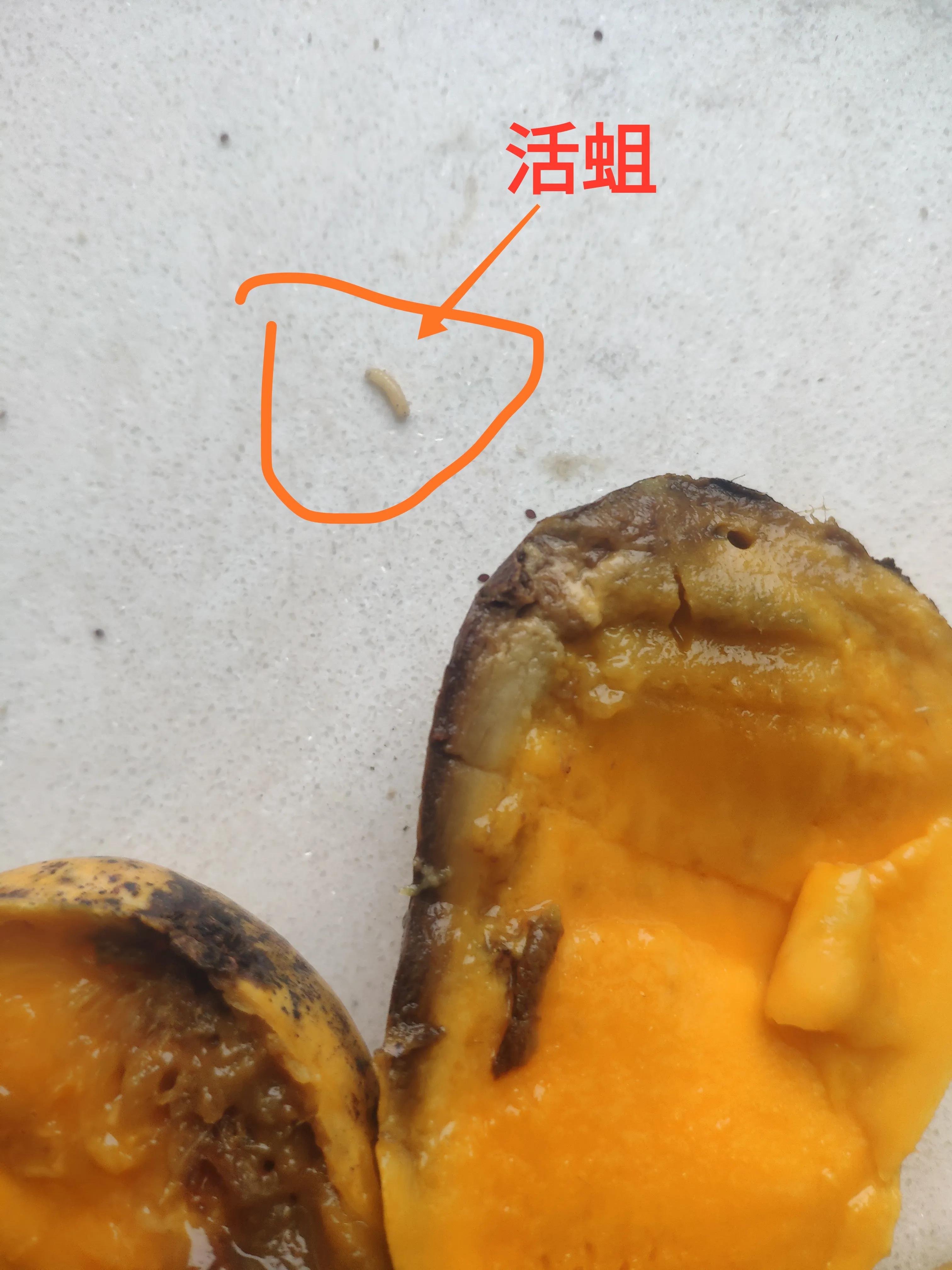 网上购买水果苹果哪家最好,水果app网上订购