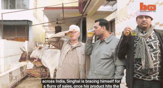 印度人为什么喜欢喝牛尿？莫迪：牛尿是印度最畅销的保健品