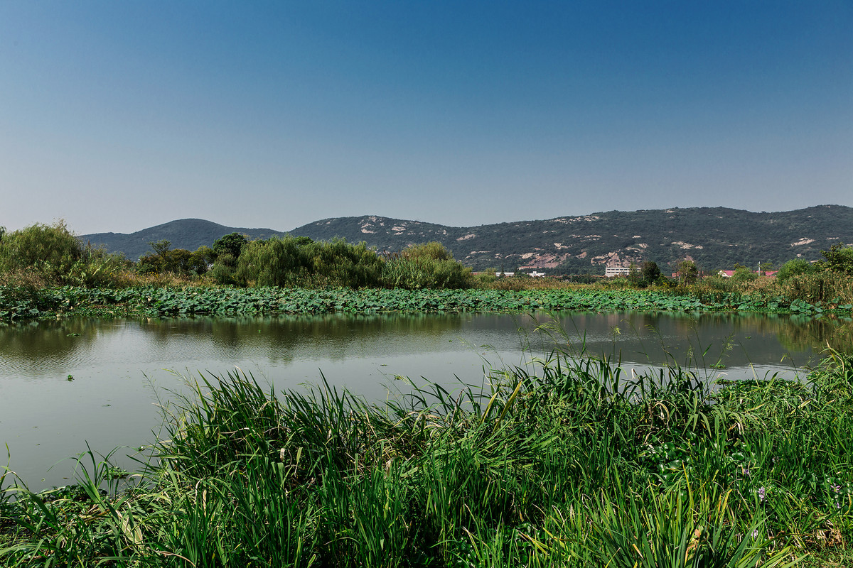 无锡酱排骨红曲米,无锡酱排骨香辣