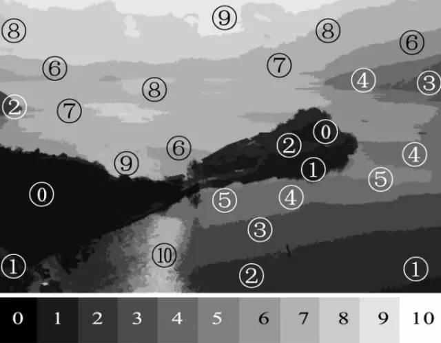 2020入门相机,2020年的相机图片