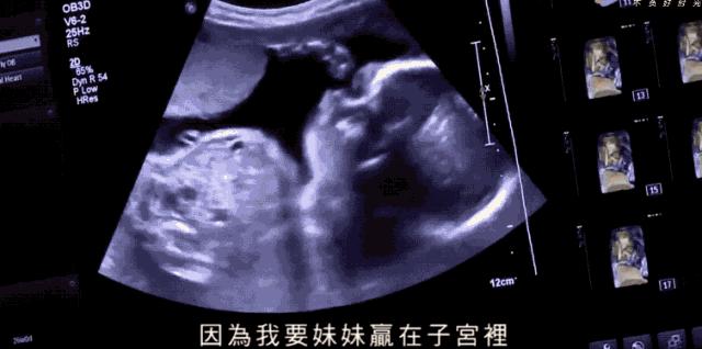 香港幼儿教育：从子宫开始准备，怀孕掐时间，没有起跑线...