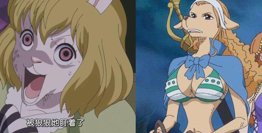 海贼王1006马尔科,海贼王马尔科对战大妈团