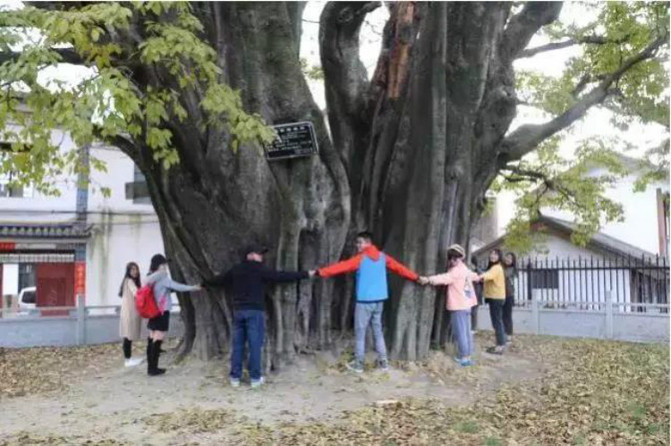 五一节大理景区哪些免票,五一大理免门票的景点有哪些