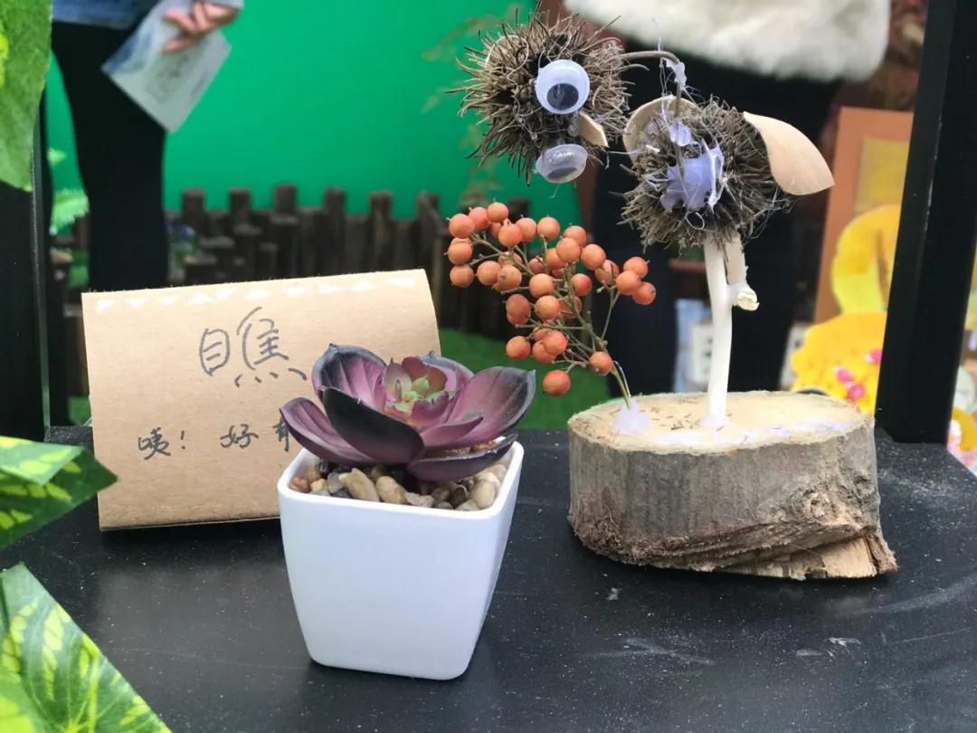 南京比较好的小学学校排名,南京名校小学最新排名