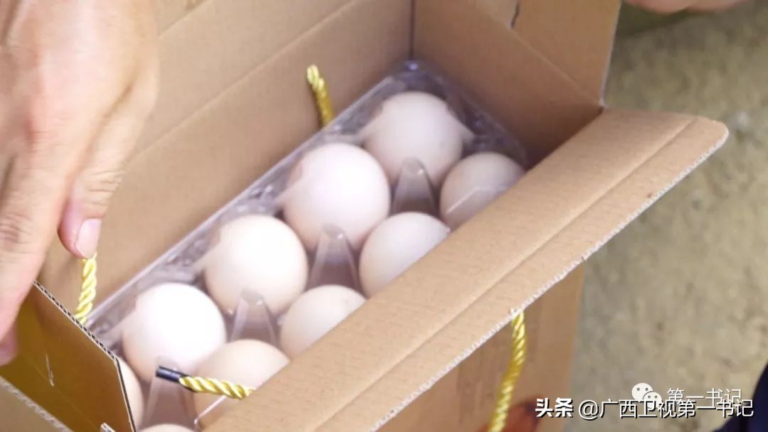 “仙草林”有什么致富宝？“罗曼粉”还可以下“金蛋.......