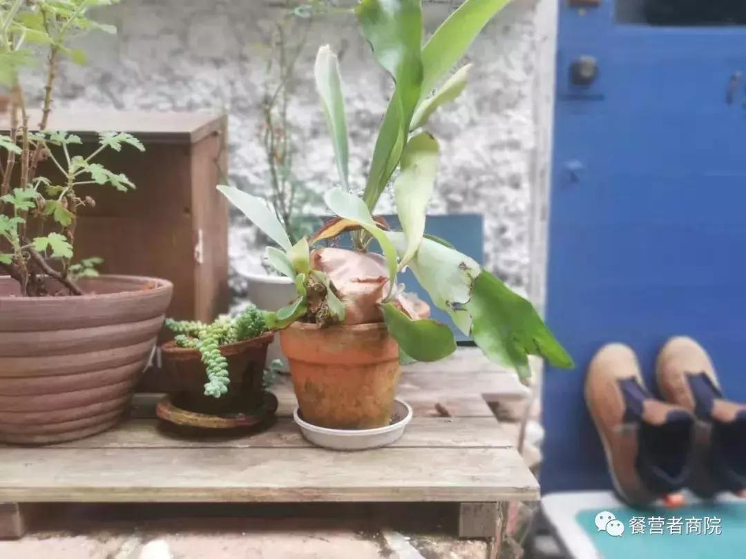 日本东京圣地巡礼,日本圣地巡礼东京