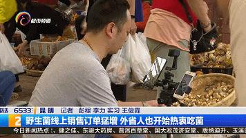 云南菌子交易市场直播,专门卖菌子直播