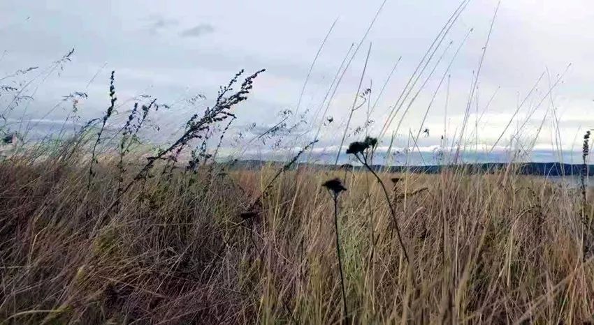 一啸渔乐霸道钓组,一啸渔乐最新视频