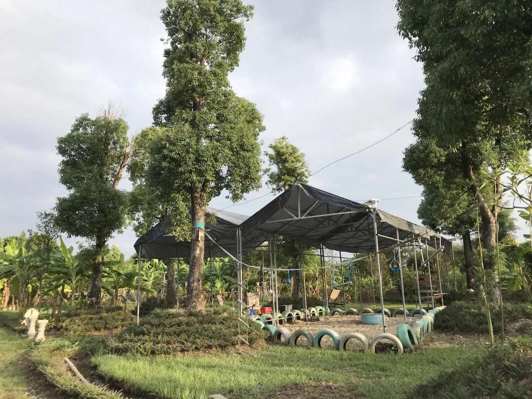 广东十大亲子农场,陈村亲子农场推荐