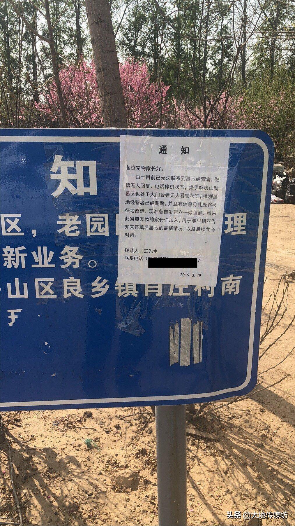 关于宠物殡葬的市场痛点,国内宠物殡葬行业真实现状