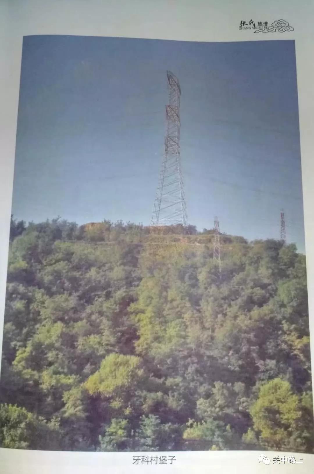 盂县续修张氏族谱,豫西张氏家族族谱