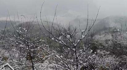 《论安阳师范学院强于哈佛大学》一文被热转，官方回应；我老婆在高速上生了！”河南孕妇高速上产女