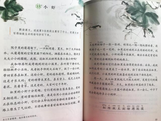 三年语文《花钟》《蜜蜂》《小虾》，资深教师备课重点，建议收藏
