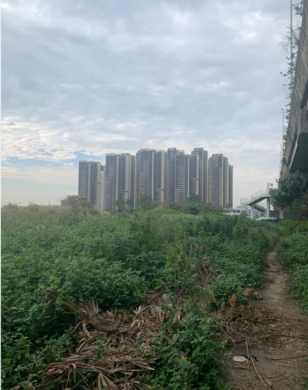 北滘VS三山,谁才是佛山“二哥”