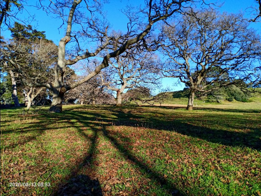 一树山,我的精神家园