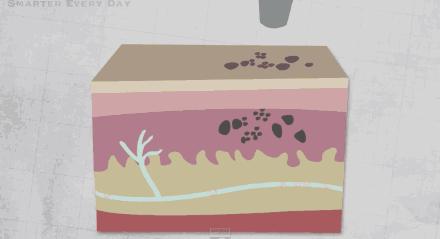 纹身之后的护理,纹身过后的护理