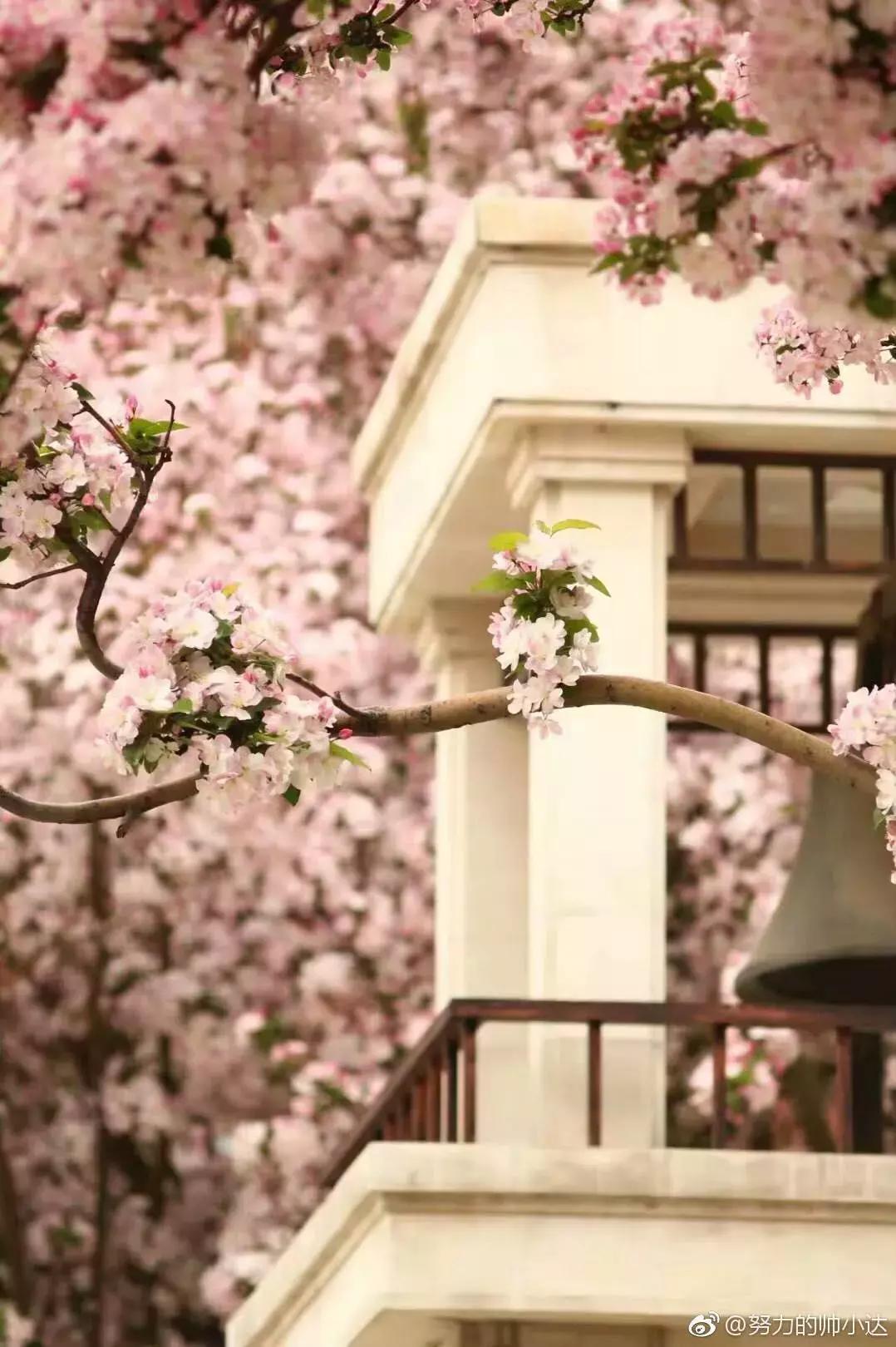 天津南开中学具有厚重的历史文脉,在天津学习心得体会