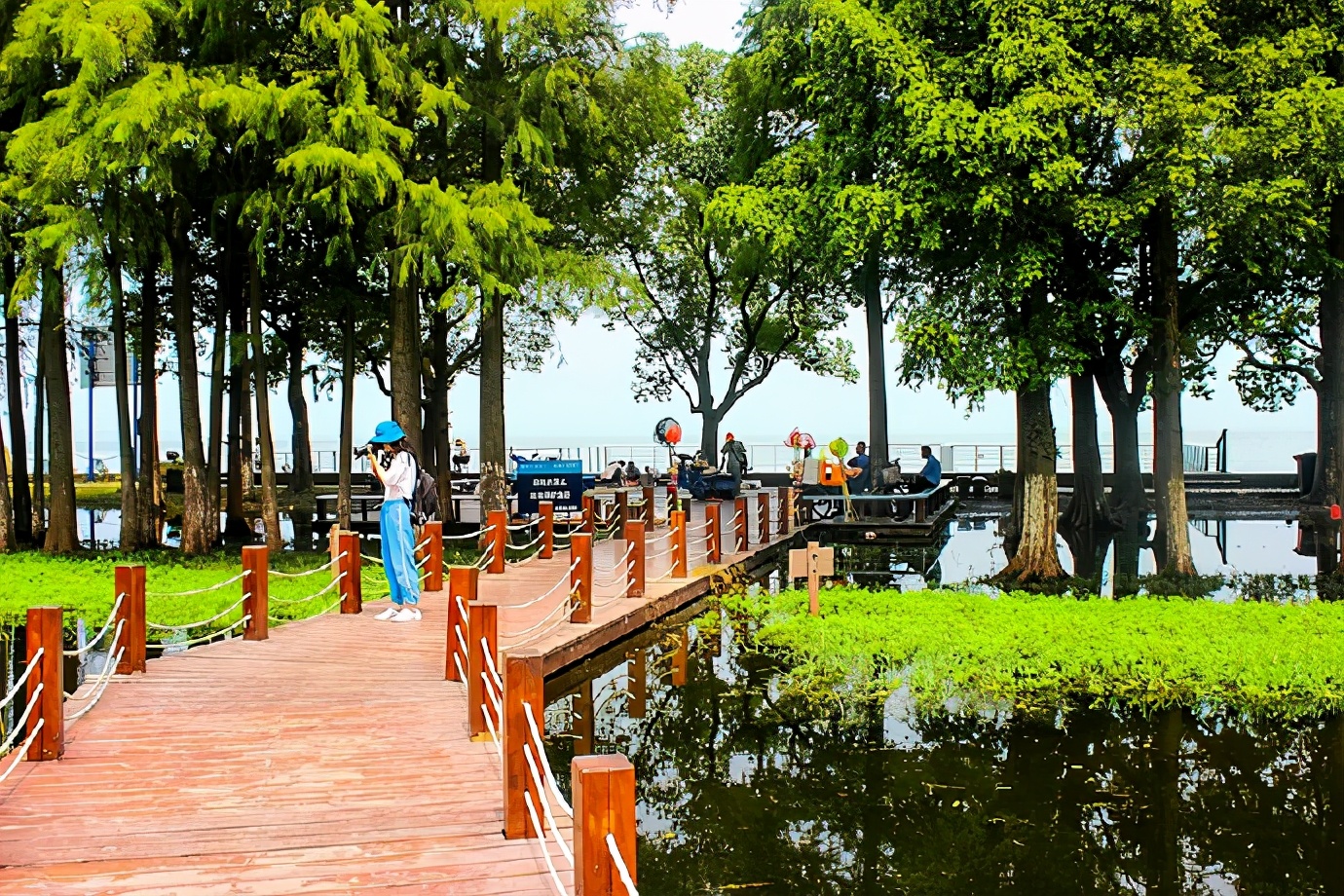 淀山湖柳堤春晓,淀山湖适合露营玩水的地方