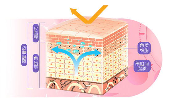 沙漠干皮湿敷后护肤教程,沙漠干皮逆袭水光肌