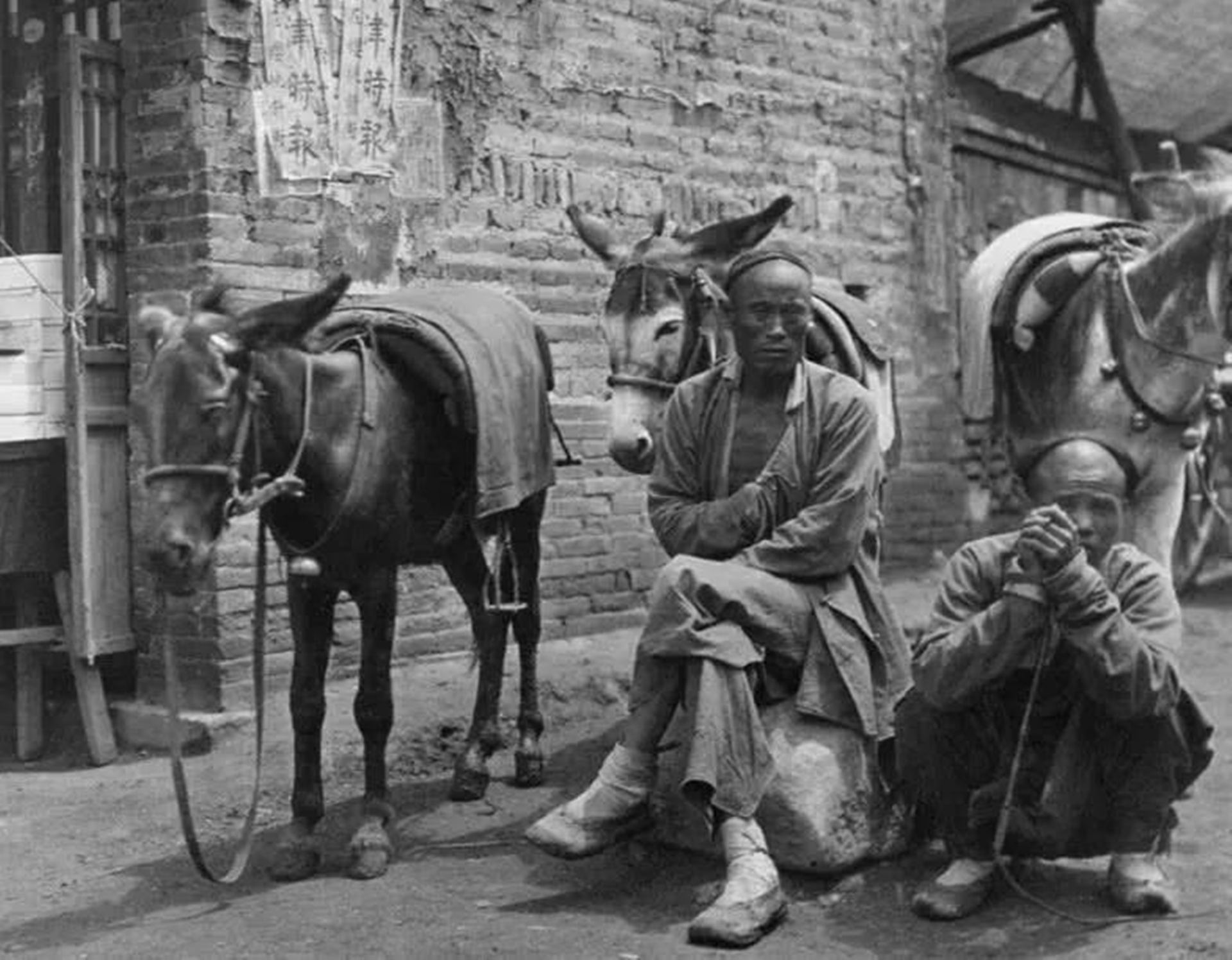 鲁山21年前杀妻害女案的审判结果,24年前少女被杀案告破