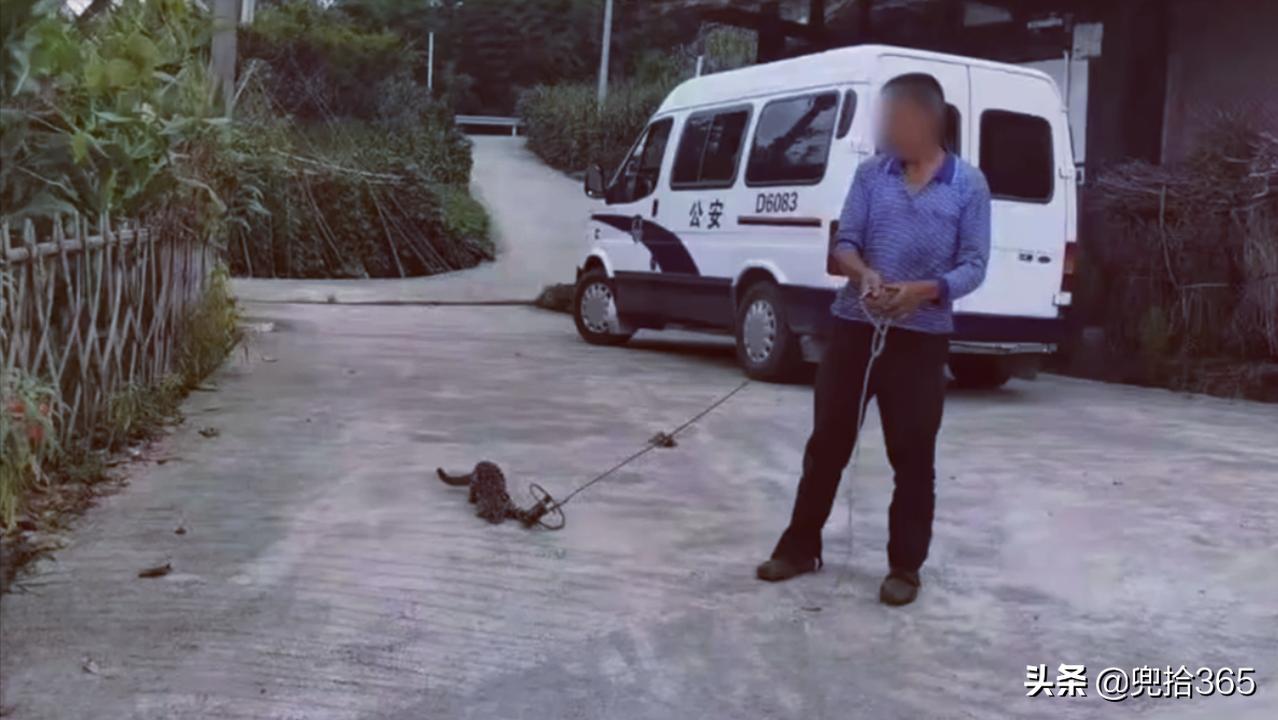 贵州男子为保护庄稼,在玉米地里设置了一个陷阱,结果摊上事了