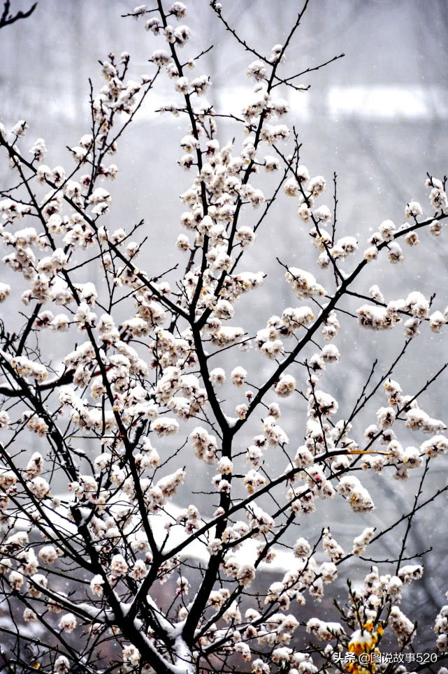 从免费到门票80，太行山下郭亮村，因何成为河南最热旅游村？
