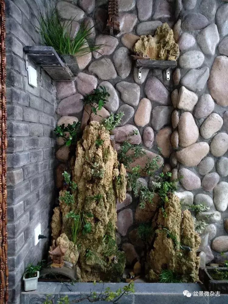 盆景艺术欣赏视频大全,盆景万象盆