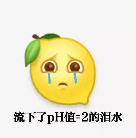 除了情侣关系还有什么关系,除了感情还有什么东西值得追