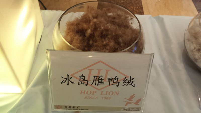 平价羽绒服如何选择好品牌,1000-2000哪个品牌羽绒服款式好