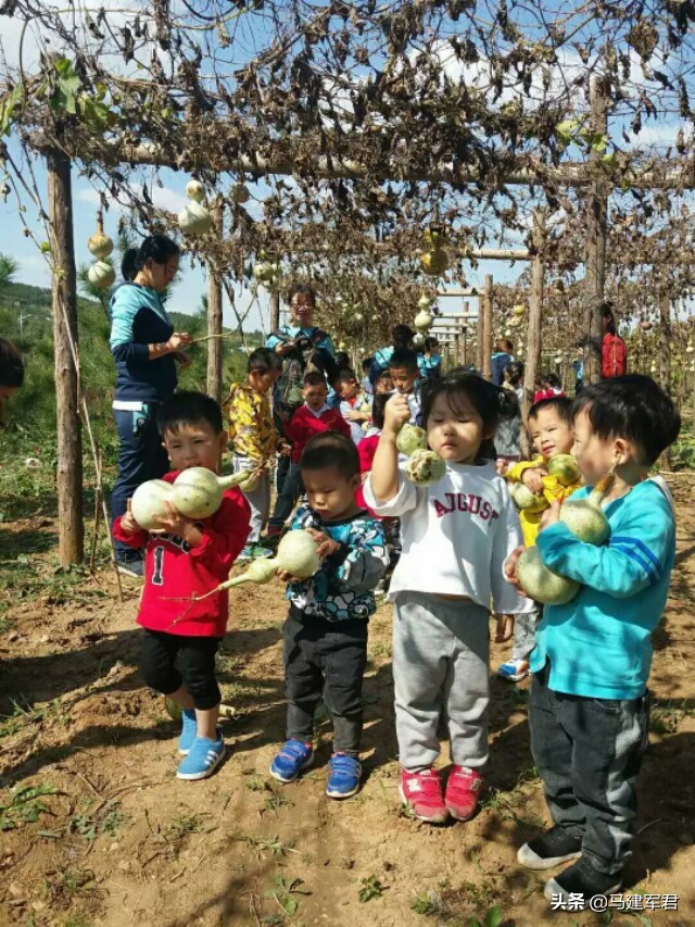 小葫芦，大梦想——葫芦王马友谊